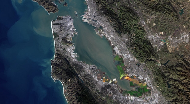 Bay Area