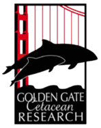 Golden Gate Cetacean Research