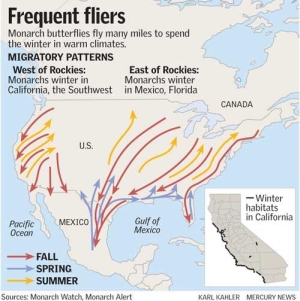 Monarch Butterfly Migration Routes