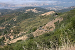 Mt. Diablo Habitat