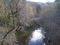 Sunol Regional Wilderness' creekside habitat