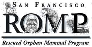 Rescued Orphan Mammal Program