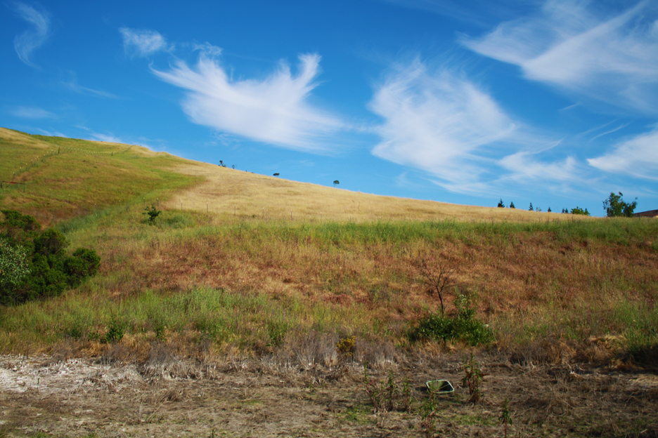 Lime Ridge Open Space