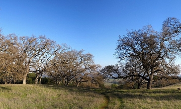 Rancho San Antonio Open Space