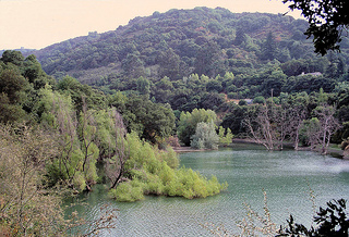 Stevens Creek County Park