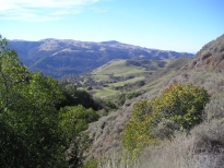 Sunol Regional Wilderness' multiple habitats